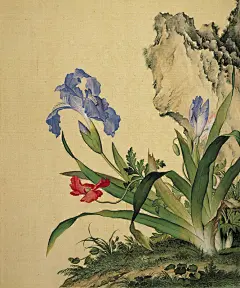 郎世宁 仙萼长春图册  石竹

郎世宁的「仙萼长春图册」共含16幅图画，现藏于台北故宫博物院。分四时花卉，各幅间并缀以巨石、翎毛、小草，为融合中西画法的难得杰作，每幅均宽28.4公分，高33.7公分。16幅依序为：01.牡丹、02.桃花、03.芍药、04.海棠与玉兰、05.虞美人与蝴蝶花、06.黄刺么与鱼儿牡丹、07.石竹、08.樱桃、09.罂粟、10.紫白丁香、11.百合花与仙萼长春图册(16张)缠枝牡丹、12.翠竹牵牛、13.荷花与慈姑花、14.豆花、15.鸡冠花、16.菊花