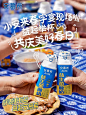 益起出发！小安春日旅行日记大公开 - 小红书