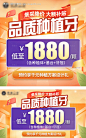 编号：20230424112831625【享设计】源文件下载-品质种植牙海报