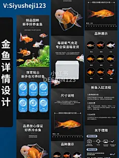 原创金鱼详情设计➕主图
