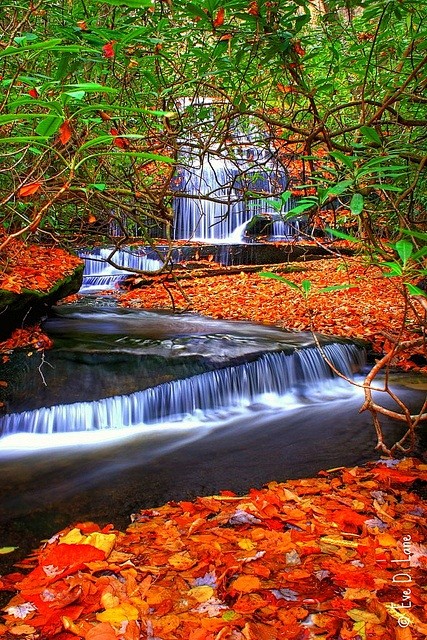 秋天，根溪瀑布，北卡罗莱纳州。