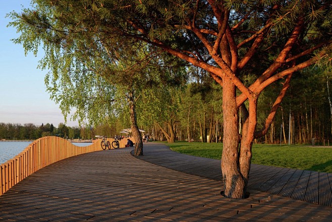 Paprocany Lake Shore...