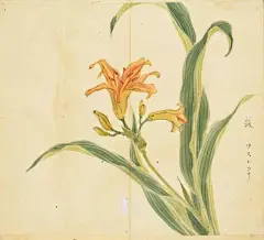 《诗经》美图，淡雅脱俗！
《诗经》是中国最早的诗歌总集。《诗经》原本叫《诗》，共有诗歌305首，因此又称“诗三百”。从汉朝起儒家将其奉为经典，因此称为《诗经》。汉朝毛亨、毛苌曾注释《诗经》，因此又称《毛诗》。