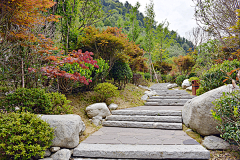 00oollLL~采集到古道，山路