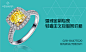 钻石小米——婚嫁定制专家，轻奢主义互联网价格