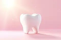 口腔保健人体医疗牙医口腔牙齿模型