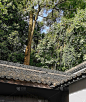 森林中传统的中国古建筑屋顶用黑色瓦片