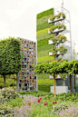 A vertical garden won the gold medal in the 2011 Chelsea Flower Show in London.