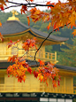 京都的象征 - 金阁寺