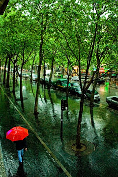 BunBunBunny采集到雨要多大 天要多黑 rainy days