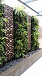 The VersiWallTM GP is an easy-to-install and lowmaintenance modular vertical greening system with a choice of mounting, planting density and growth media options to suit different wall conditions.