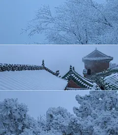 冬天 雪 仙境 白色  唯美图片  手机插画壁纸 风景图  图来自网络