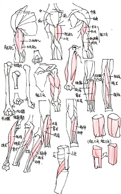 rosa5采集到奥度传媒——动画学习