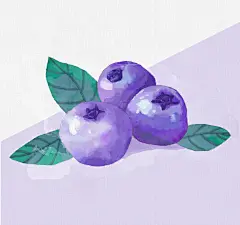 水彩作业（蓝莓）