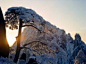 <黄山全景2日游>含西海大峡谷，黄山市内参团，观日出，门票全含,黄山旅游线路