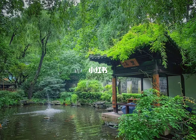 扫街｜静安公园内的八景园