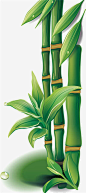 卡通手绘竹竿植物元素