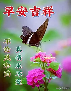 18句清晨早安问候祝福语精选，连连的问候，浓浓的问候！