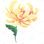 菊花中国风中秋节元素贴纸   