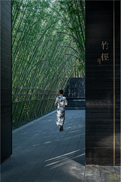 崔设计采集到种植—竹子