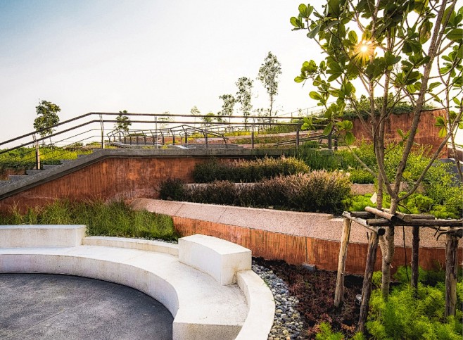 thammasatuniversityrooftopfarmbylandprocessasiaslargestorganic