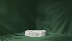 C4D建模墨绿色大气北欧INS风植物电商展台海报背景