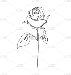 玫瑰花，线条画风格，艺术设计