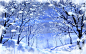 snow trees wallpaper (#202410) / Wallbase.cc