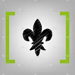 黑色,式样,潦草,计算机图标,化学元素周期表,漩涡形,灰色,纸,卷着的,华丽的