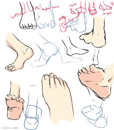 #绘画教程# 人体手与脚的画法~ 收藏它...