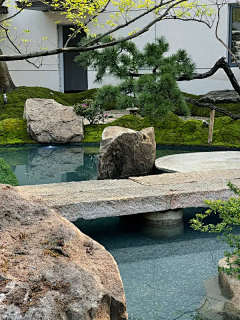棱镜2采集到现代自然庭院