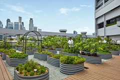 LLL``采集到Z屋顶花园 场景节点