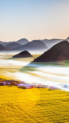 一朵花开的时间采集到风景