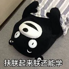 人有多大胆 复习拖多晚 kumamon考试表情包#kumamon##熊本熊##表情包#