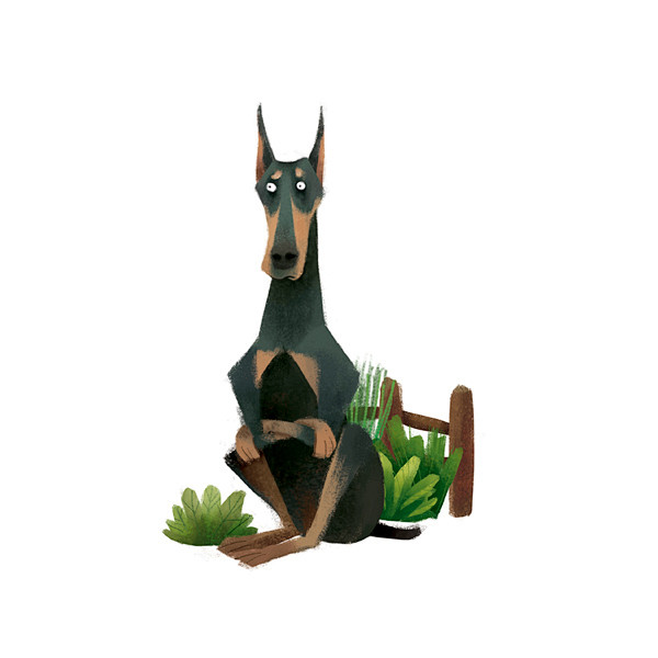 The Animal Books on ...