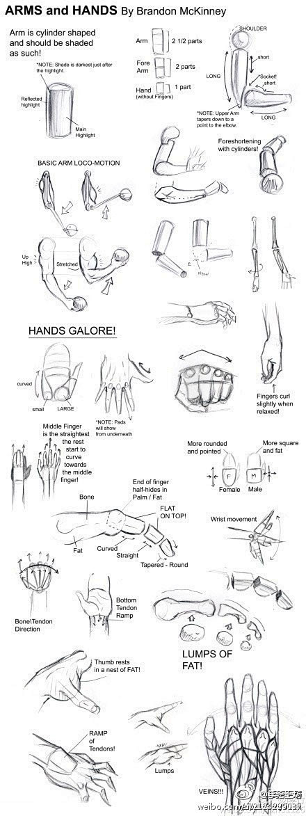 手和手臂的画法教程.