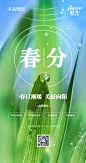 春分-定稿