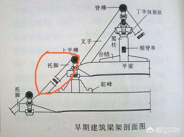 点击查看图片来源