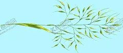 花卉树叶 【酷图网】花卉树叶,花卉,植物花卉,植物画,花朵画,花朵绘画,花朵美术,手绘花朵,花朵水彩,水彩花朵,花草绘画,花朵插画,植物插画,水彩植物,手绘植物,手绘树叶,水彩树叶,树叶,花卉背景,花卉底纹,鲜花,花朵,叶子,花叶,绿叶,绿色叶子,小花,小花朵
