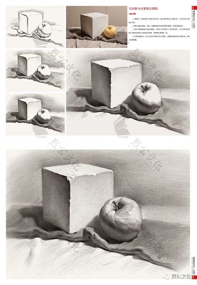 两个组合静物-石膏体和静物组合20230...