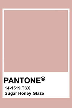 残酷、的现实采集到潘通(PANTONE)