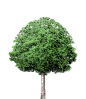 7aa602e9e47abdd15db2b1fe122ace6e20d0163dc0656-MLfDKu_fw1200