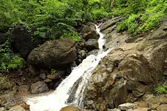森林河瀑布景观。野生河急流。森林野河水流。河溪水景