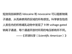 对角线2013采集到中文字体