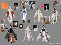 暹罗狐狸的照片 - 微相册