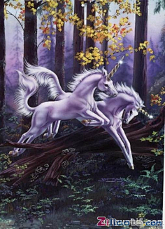 山海经异兽图鉴-花瓣网|陪你做生活的设计师 | 海中神兽,状如马而有鳞