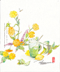 夏日-七仐_七仐,插画,手绘,水彩,夏日,植物_涂鸦王国插画