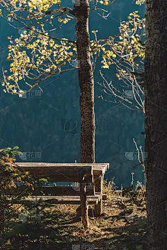 长凳和桌子与美丽的秋天景色