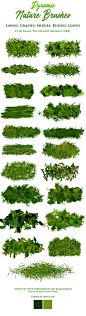 植物草叶免费PS笔刷素材
21种
ABR