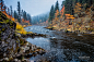 Autumn Along the Southfork of the Clearwater in Idaho : Autumn color along the South Fork of the Clearwater River located in Idaho County, Idaho, USA.  